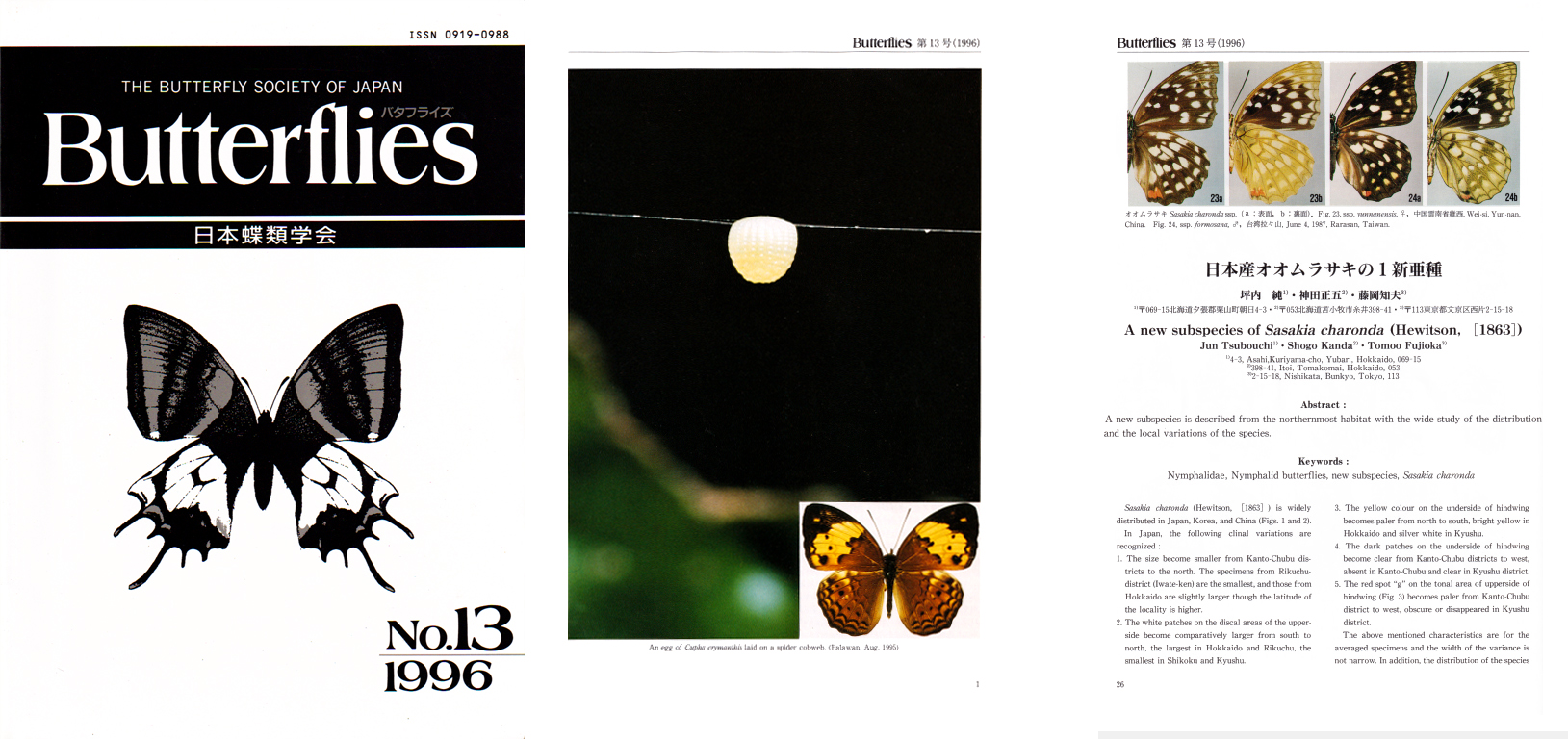 Butterflies総目次 | ページ 8 | 日本蝶類学会