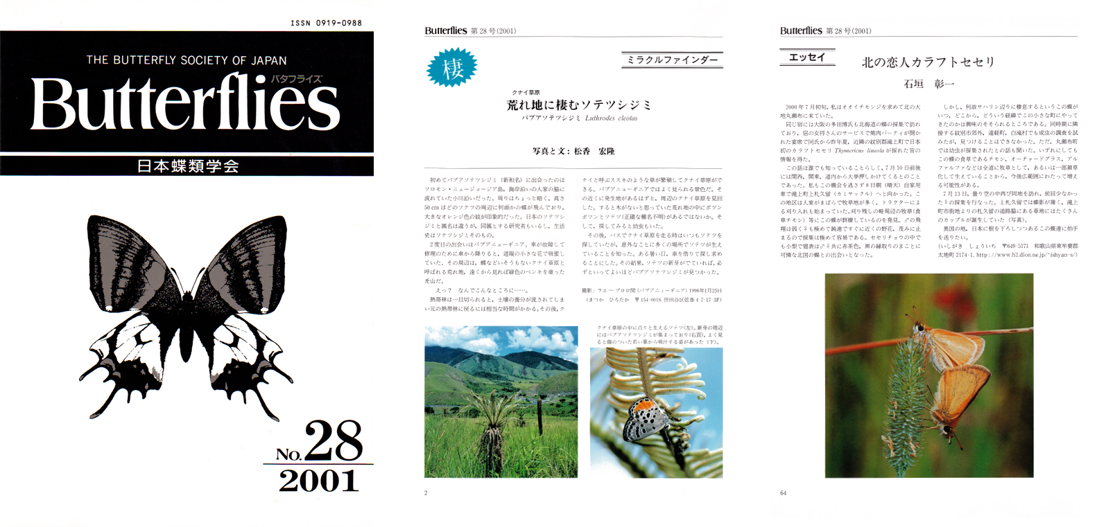 Butterflies総目次 | ページ 6 | 日本蝶類学会